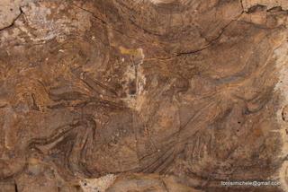 esa Arconidea-05-11-2014 19-27-19